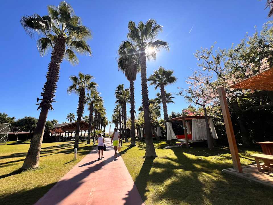 Gartenanlage Saturn Palace Resort Hotel