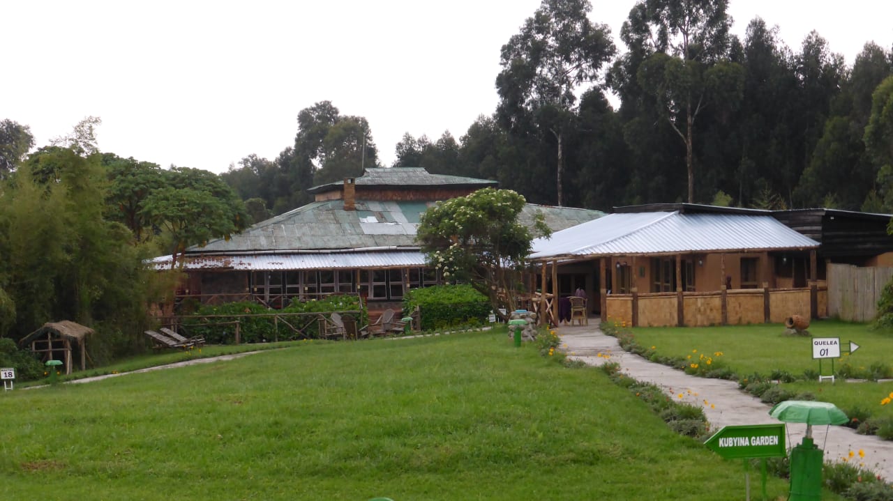 Außenansicht Gorilla Montain View Lodge