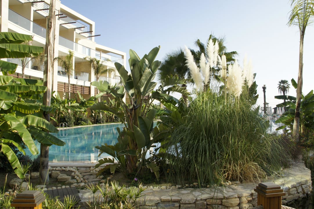 Grünzeug Paloma Pasha