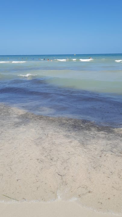 Strand Iberostar Waves Mehari Djerba