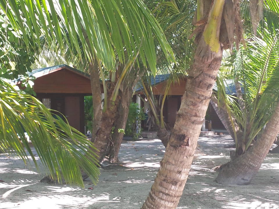 Villa Meeru Maldives Resort Island