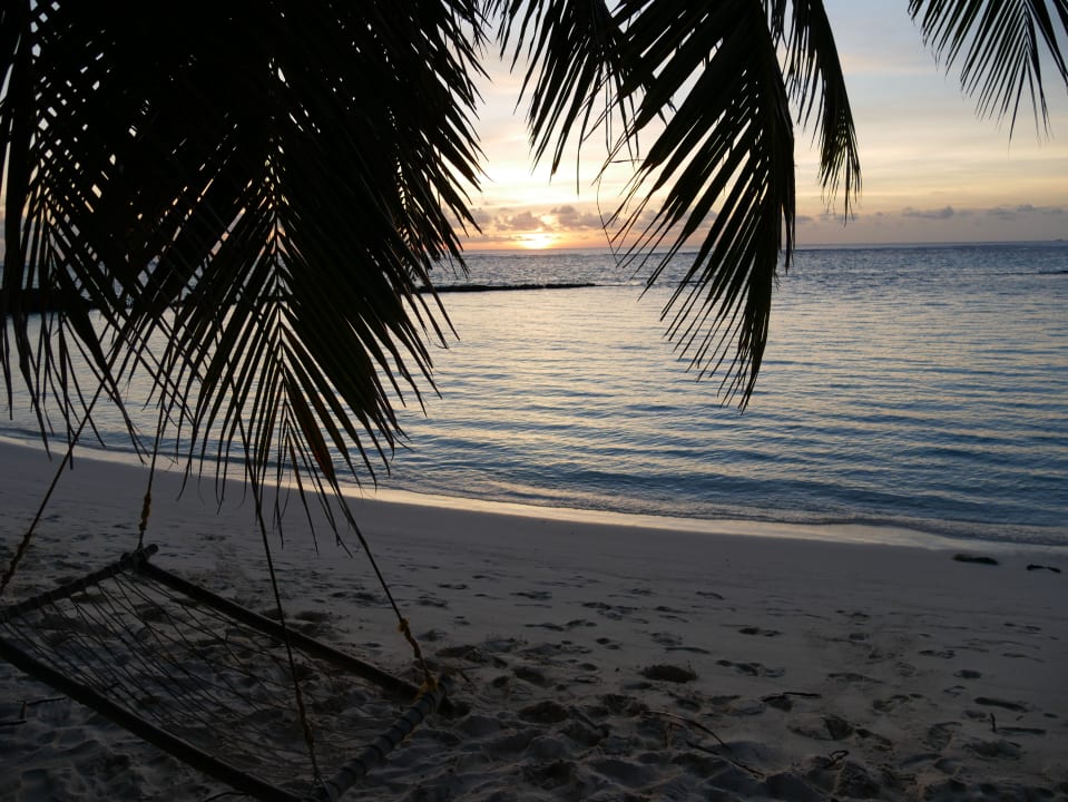 Strand Summer Island Maldives