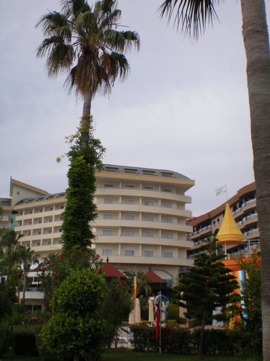 Blick vom Strand Saphir Resort & Spa