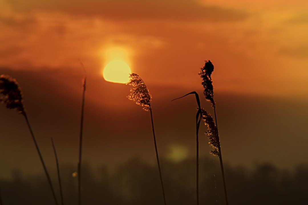 Sonnanaufgang an Beetzee Seehotel Brandenburg a.d. Havel