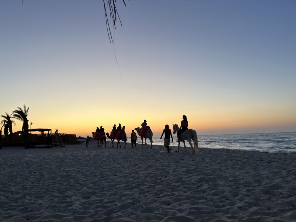 Strand Hotel Royal Garden Palace