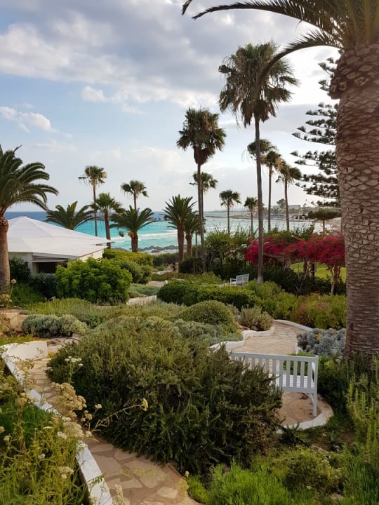 Gartenanlage Hotel Nissi Beach Resort