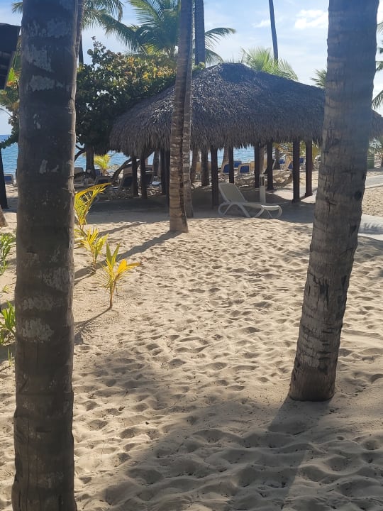 Gartenanlage Hotel Riu Bambu