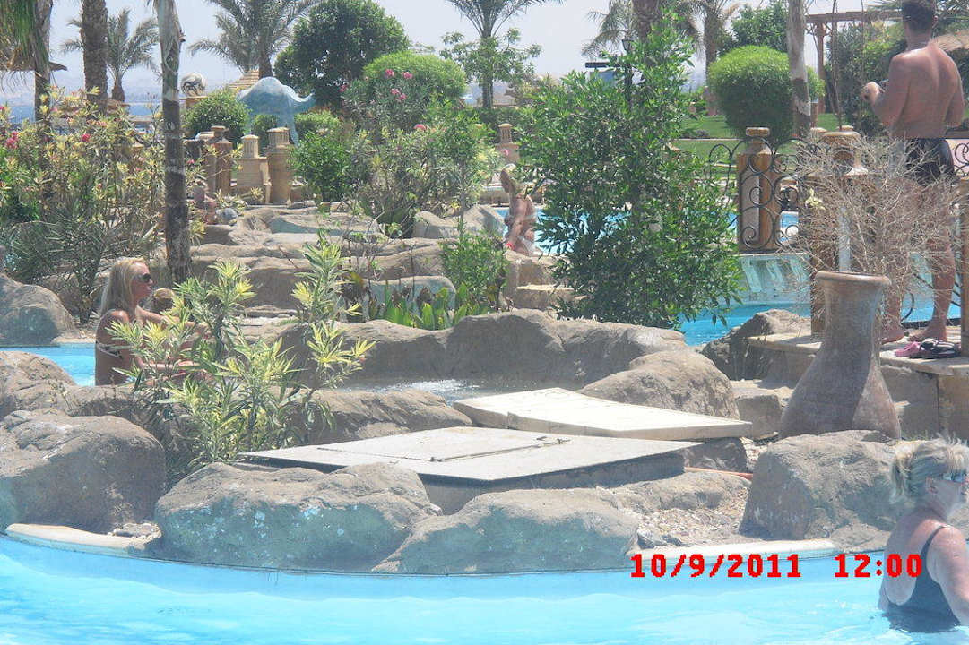 Pool und Whirlpool Pickalbatros Palace Resort