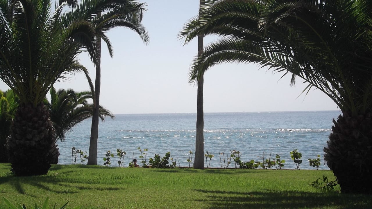 Blick von der Liege auf das Meer Hotel Riu Palace Tenerife