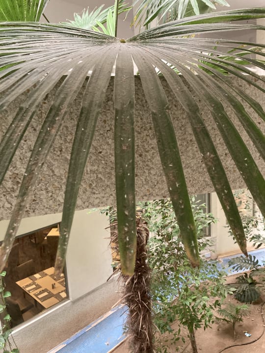 Sonstiges Eix Lagotel Holiday Resort