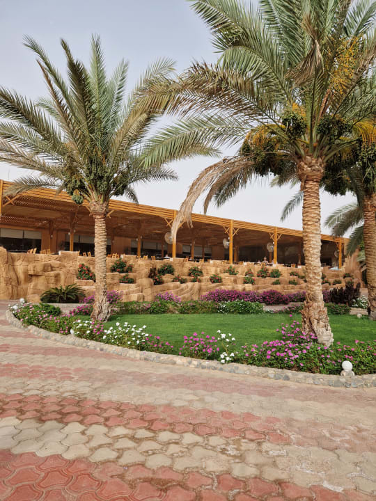 Gartenanlage Three Corners Sea Beach Resort