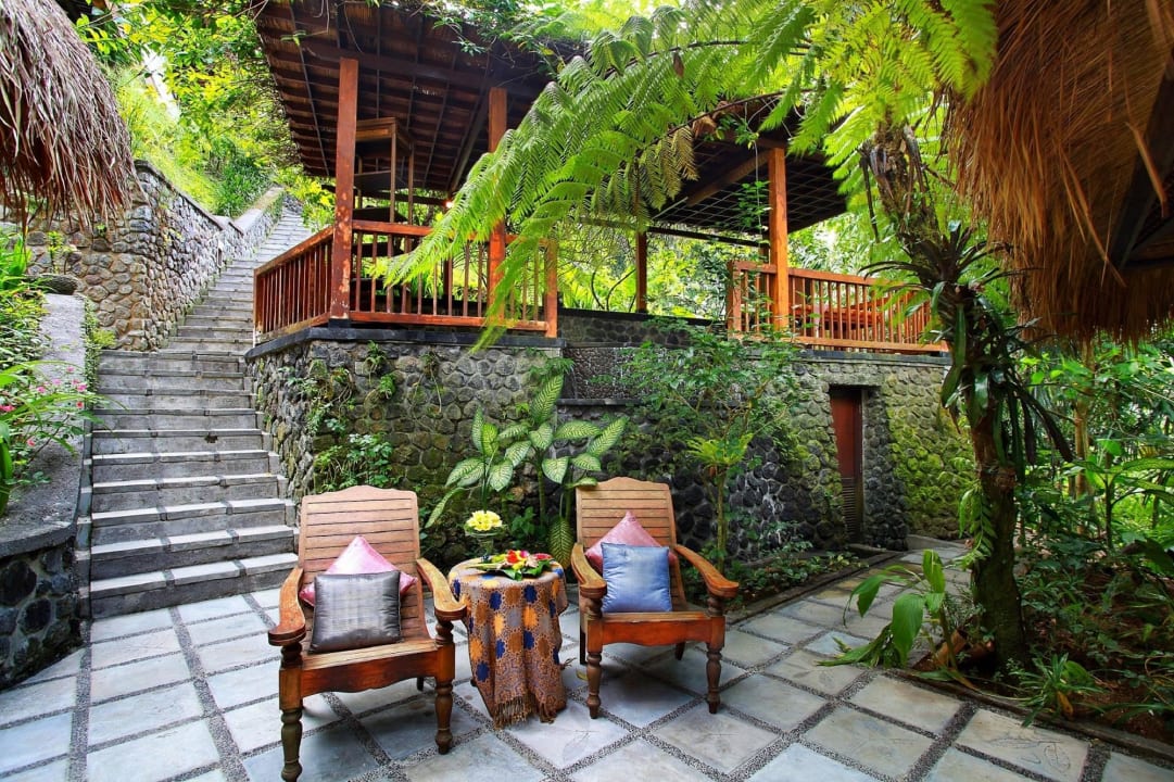 Джунгли бали. Бали Убуд джунгли. Nandini Jungle Resort & Spa Bali. Nandini Bali Jungle Resort & Spa Ubud- отели на Бали. Дачники на Бали.