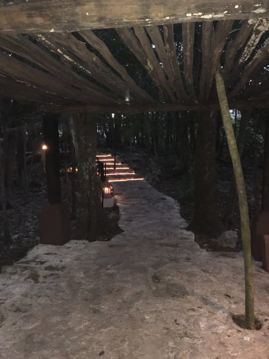 Gartenanlage Iberostar Waves Tucan
