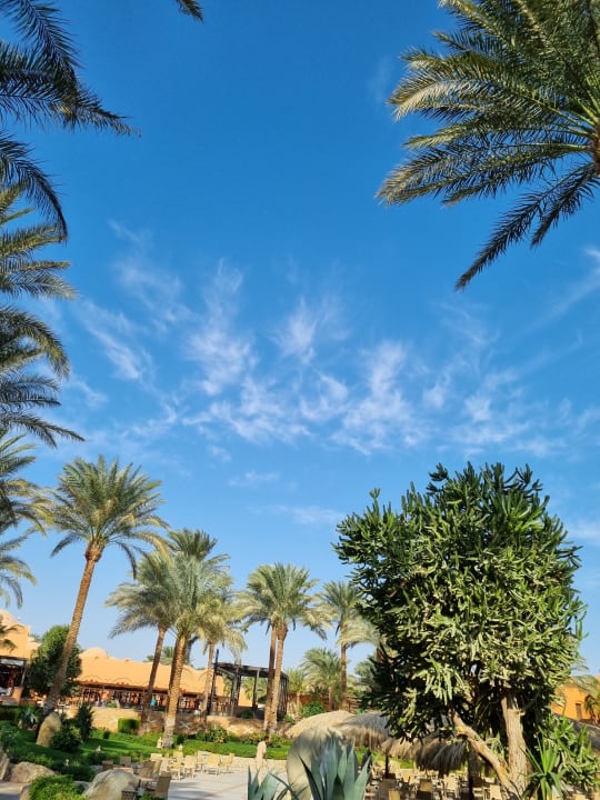Gartenanlage Jaz Makadi Oasis Resort