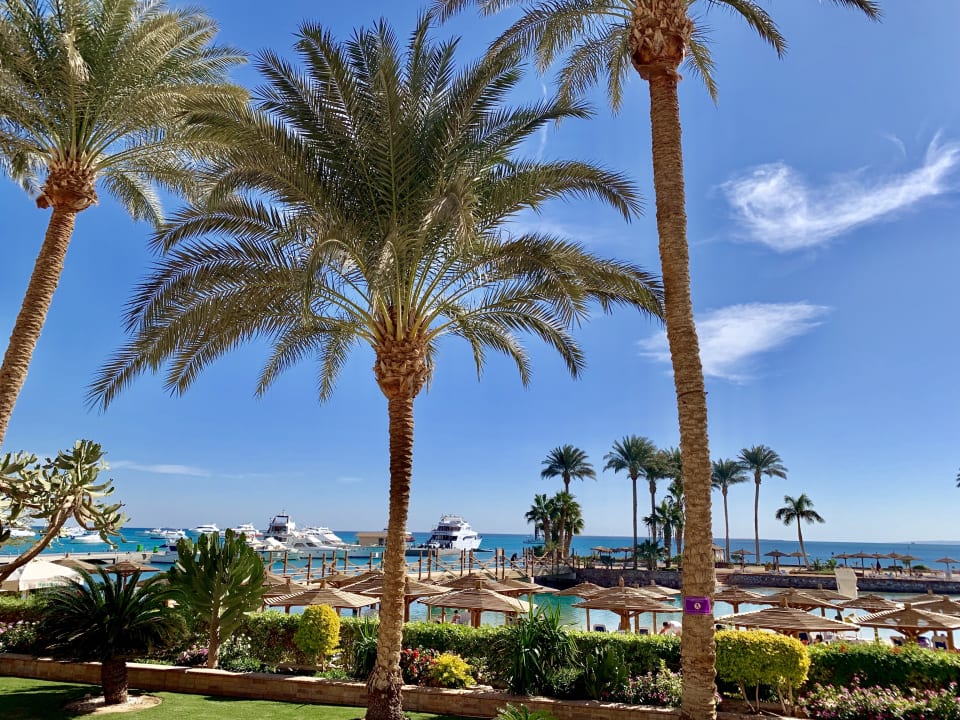 Garten Marriott Hurghada Beach Resort