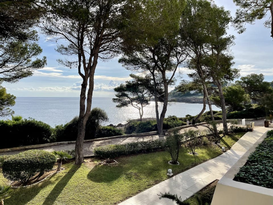 Ausblick Iberostar Waves Pinos Park