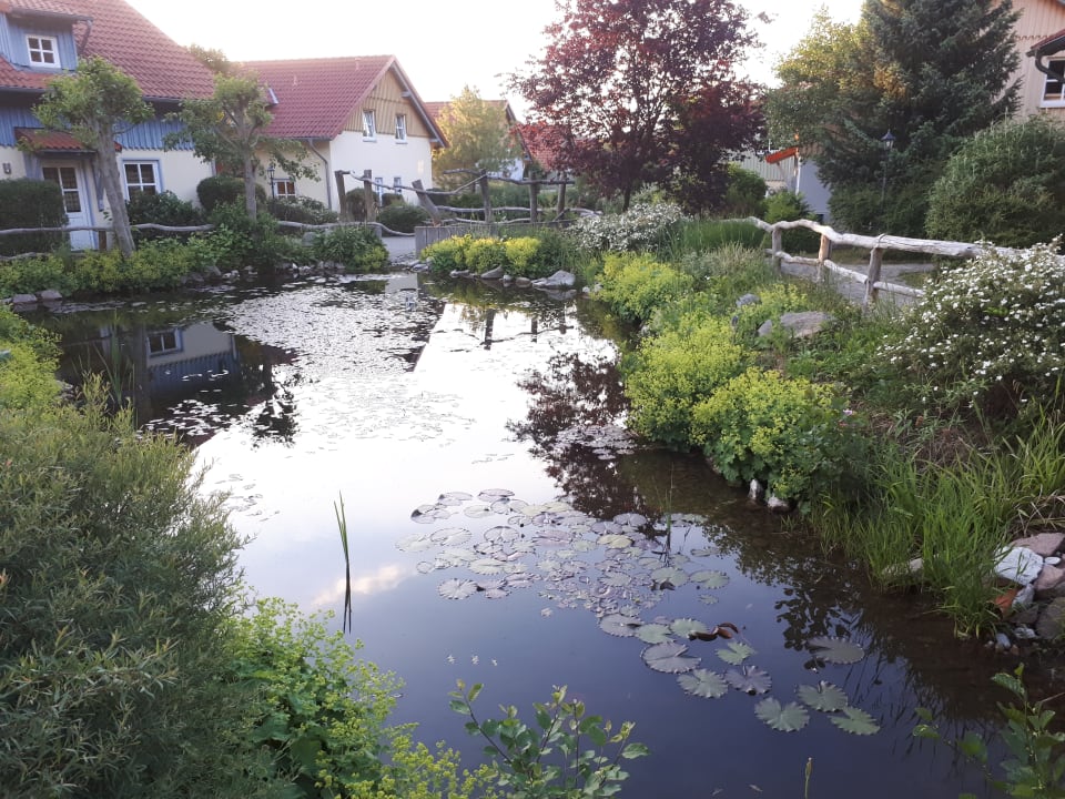 Außenansicht Hasseröder Ferienpark