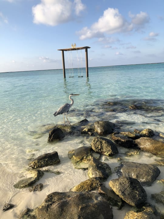 Strand Adaaran Select Meedhupparu Island Resort - Premium All Inclusive