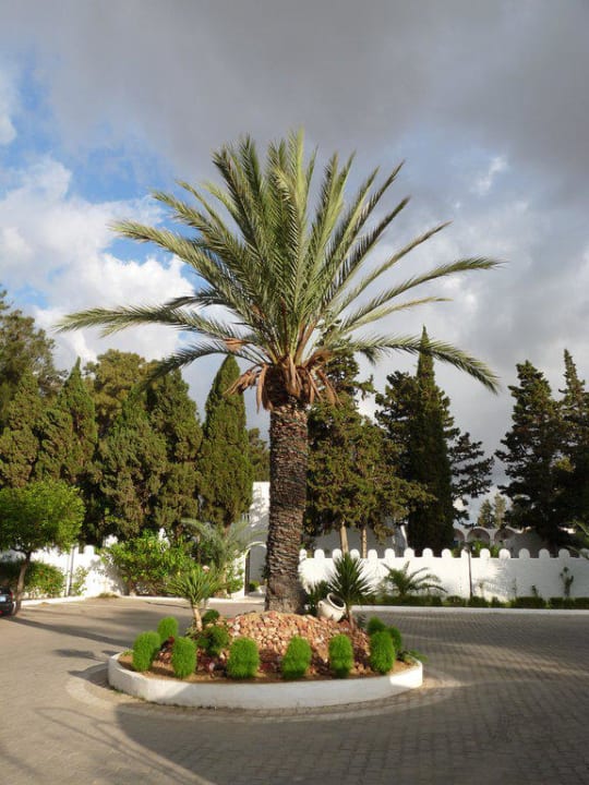 Vor dem Hoteleingang The Club Hammamet