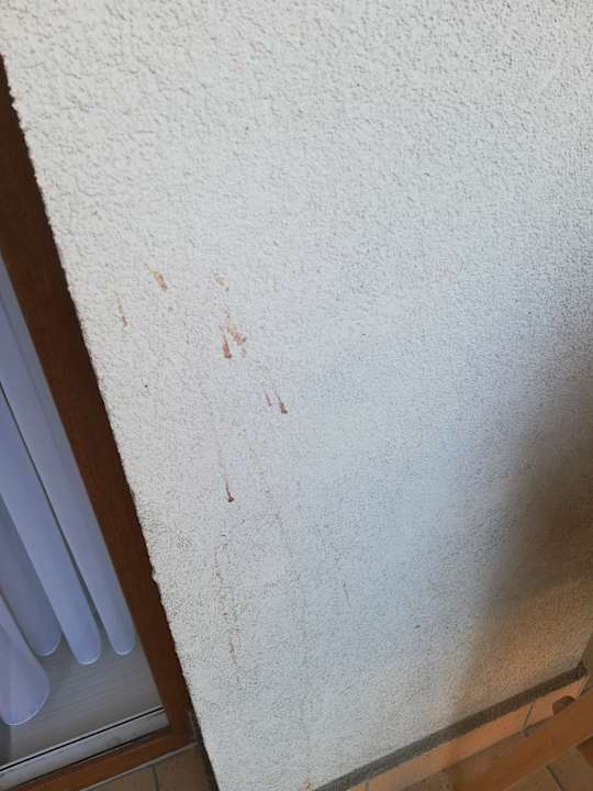 Außenansicht Maple Tree Budget Apartments