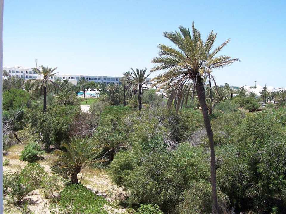 Výhled z balkonu Iberostar Waves Mehari Djerba