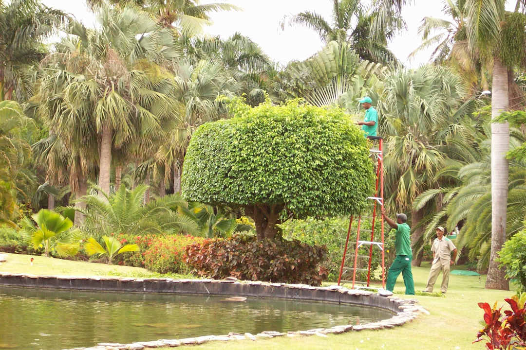 Gärtner bei der Arbeit Hotel Grand Palladium Palace Resort, Spa & Casino