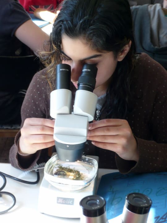 Mikroskopieren im Tagesraum "Biggerhus" Ferienhof Volkertswarft