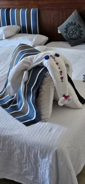 Zimmer Pharaoh Azur Resort