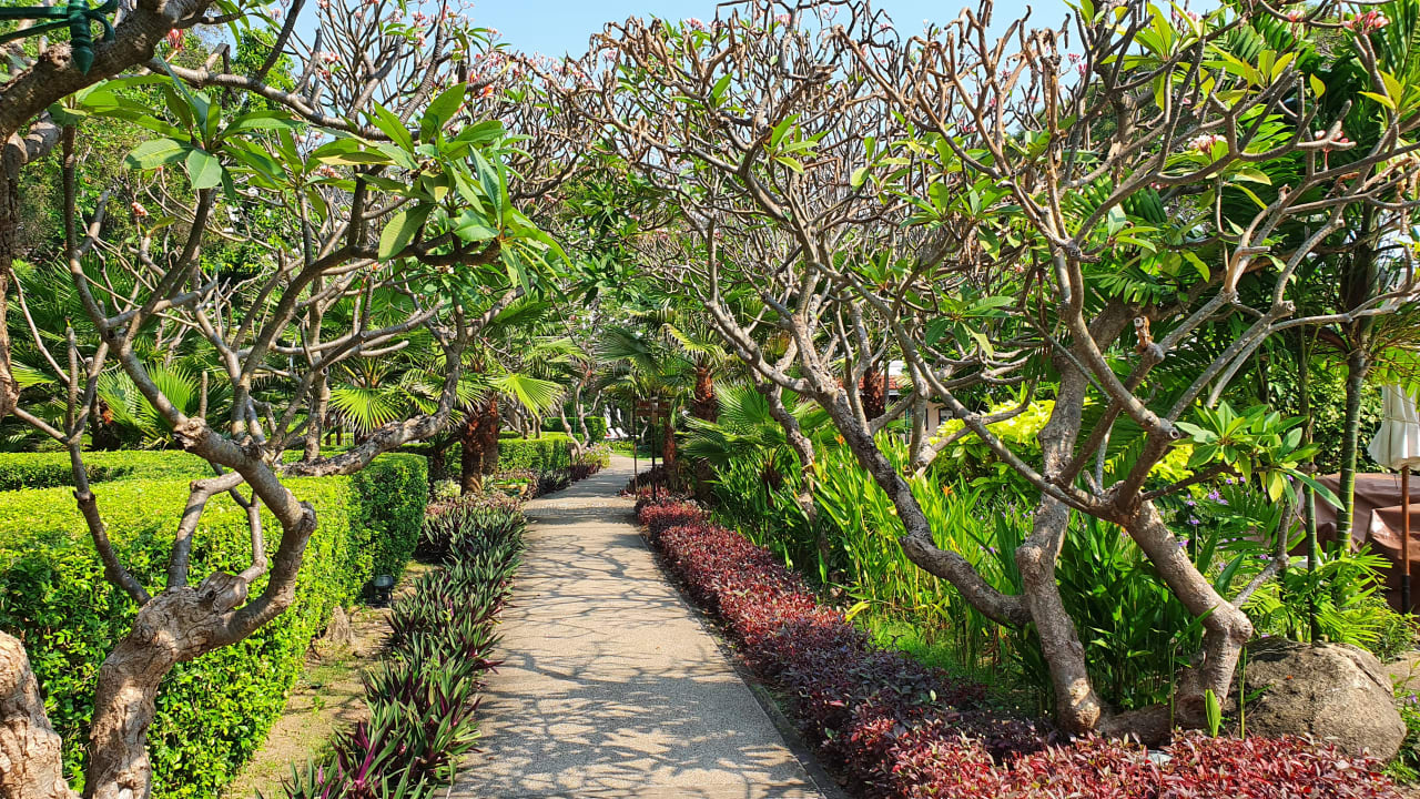 Gartenanlage Centara Grand Beach Resort & Villas Hua Hin