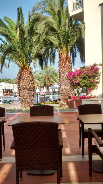 Zum Pool Arum Barut Collection