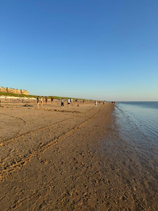 Strand EuroParcs De Woudhoeve