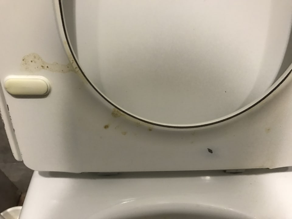 Zimmer Abora Continental by Lopesan Hotels