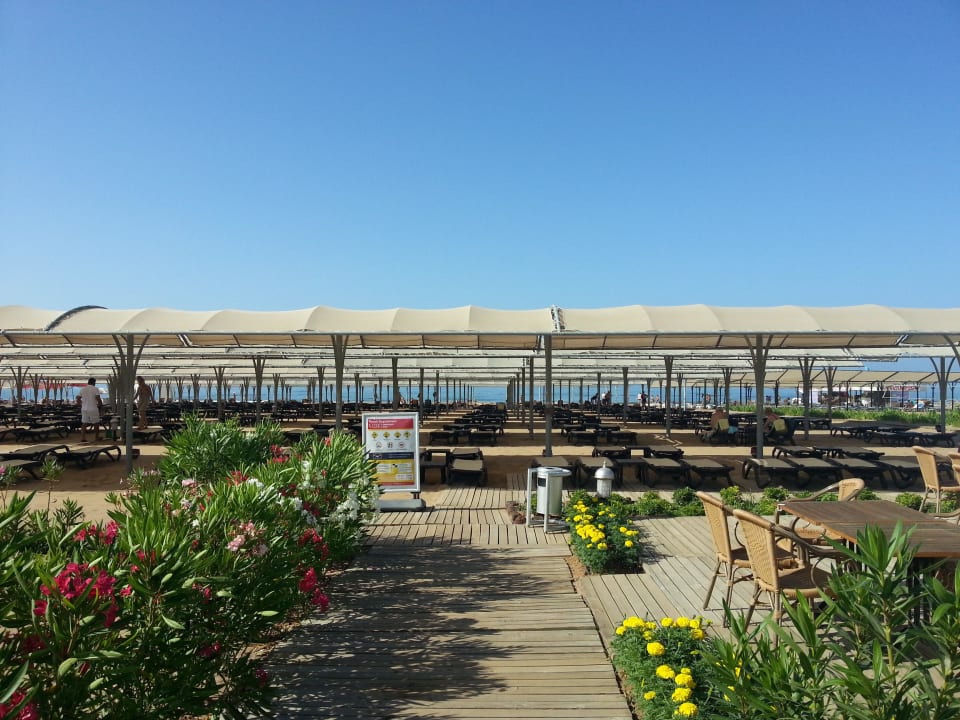 Weg zum Strand Diamond Excellence Resort & Spa