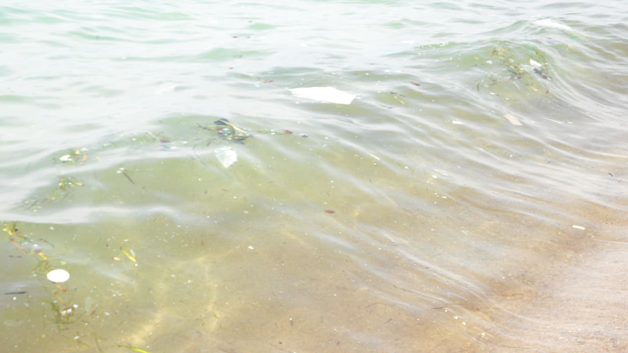 So sah das Meer aus Medina Solaria & Thalasso