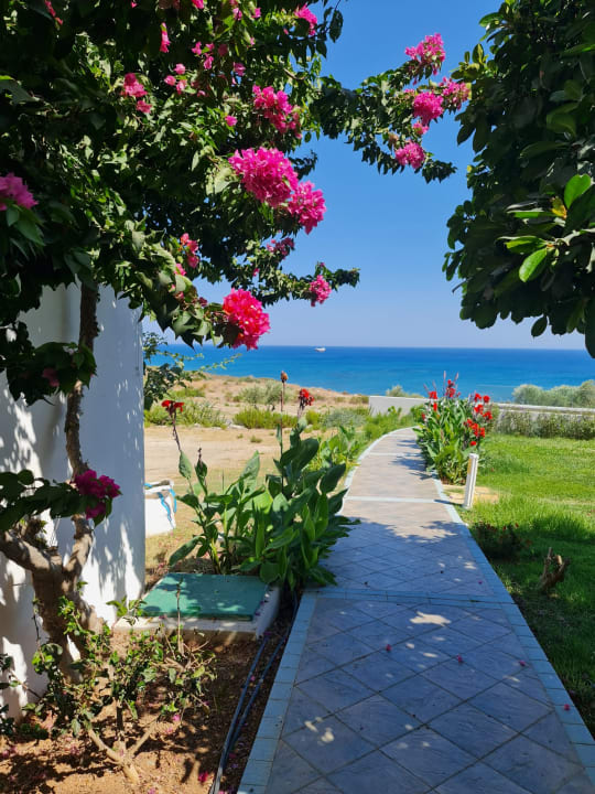 Gartenanlage Atrium Palace Thalasso Spa Resort & Villas