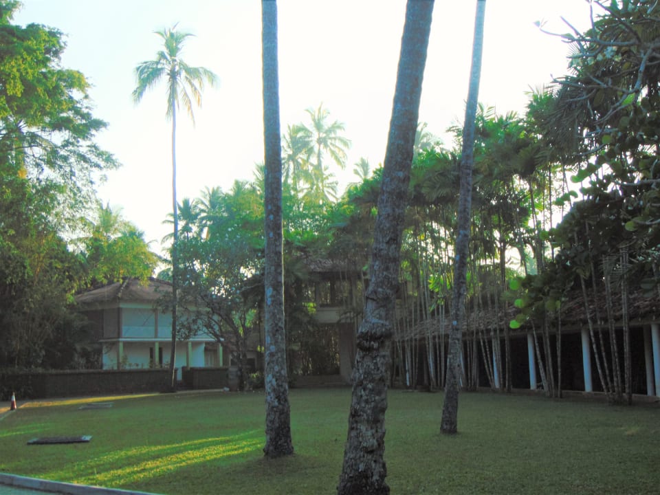 Gartenanlage Heritance Ahungalla