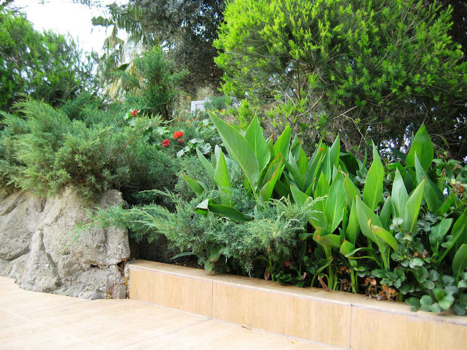 Garden Latanya Park Resort