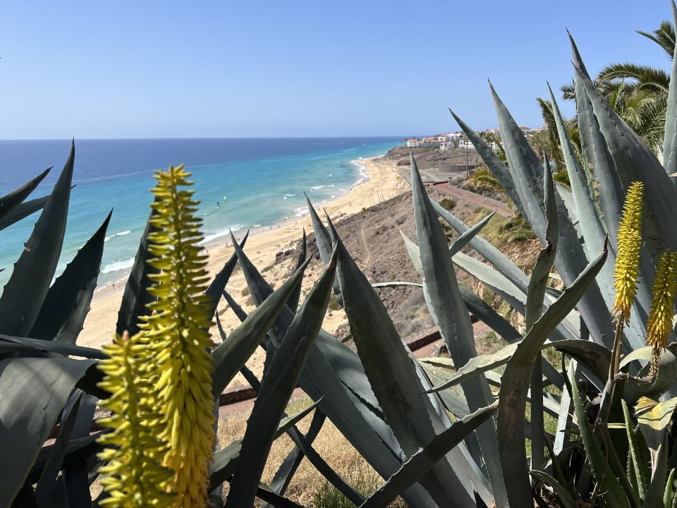 Ausblick ROBINSON ESQUINZO PLAYA
