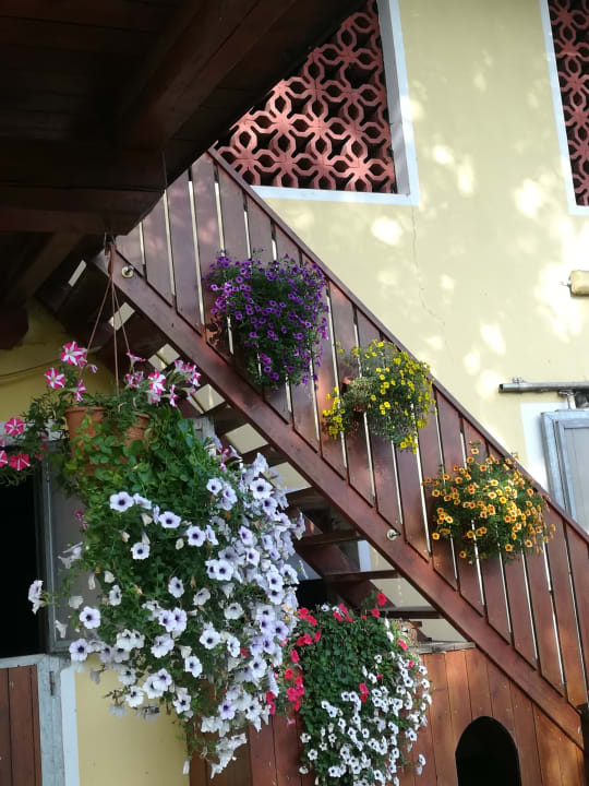 Sonstiges Bauernhof Malehof