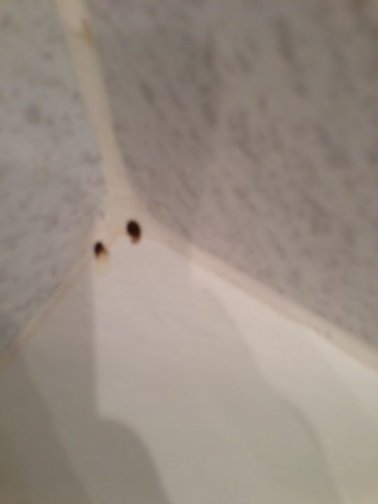 Rost Adams Beach Hotel