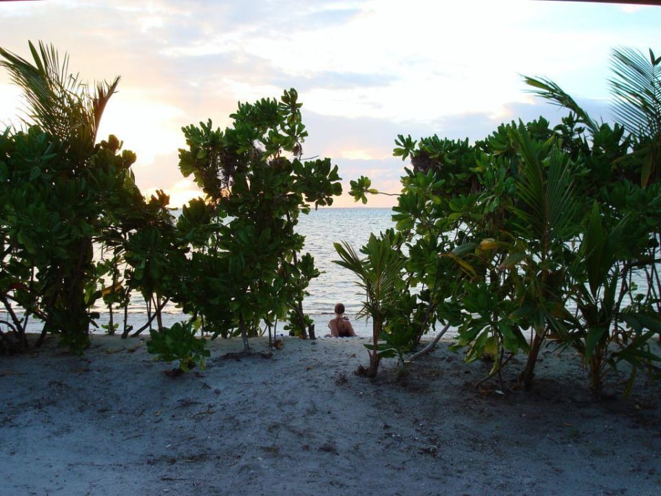 Meerblick Canareef Resort Maldives