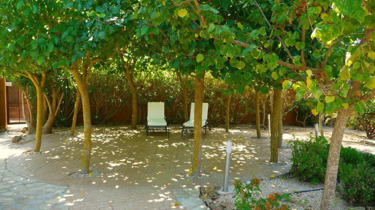 Liegeplätze im Garten Finca Amapola - Agrotourismus Hotel