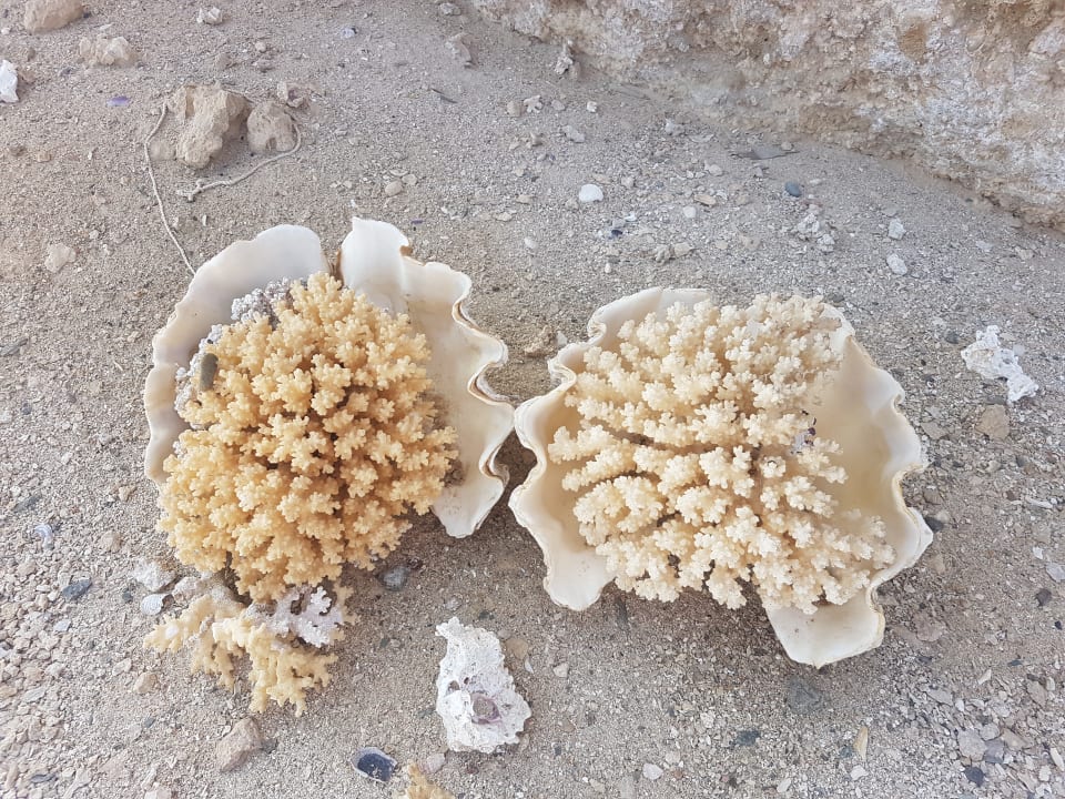 Strand Sentido Akassia Beach