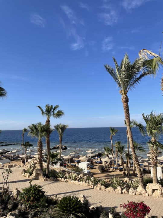 Strand Pickalbatros Citadel Resort