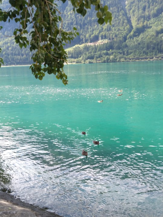 Ausblick Familienresort Buchau