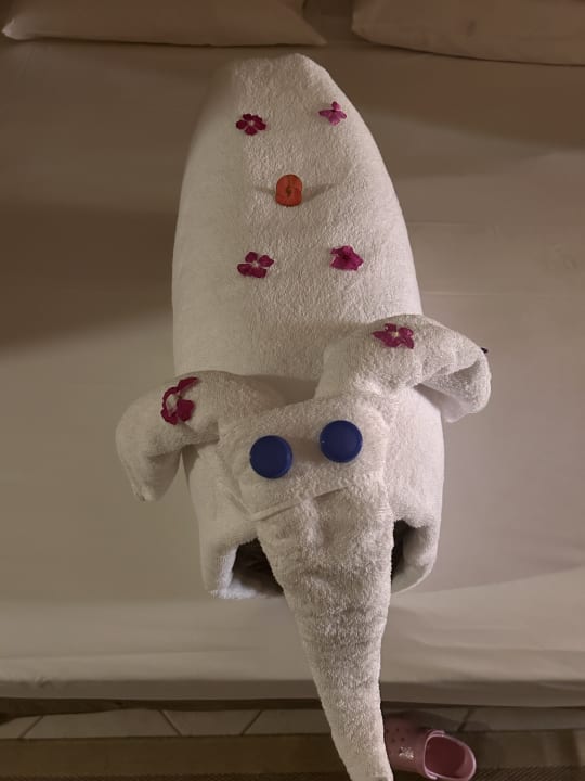 Zimmer Jaz Makadi Oasis Resort