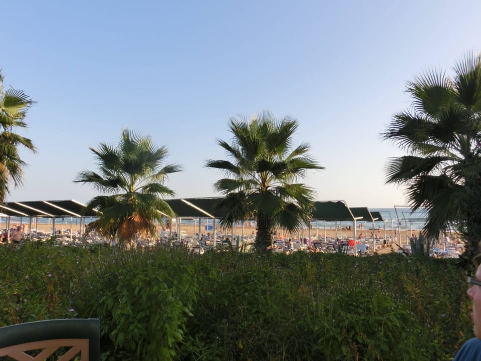 Blick aus der Beachbar zum Strand VONRESORT Golden Beach