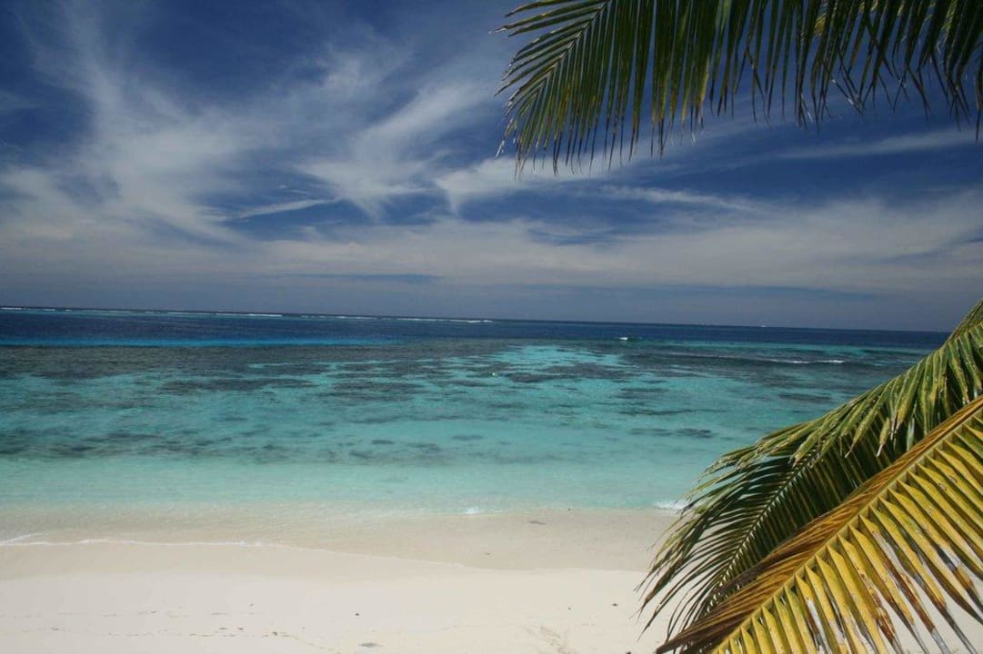 Ausblick vom Garten auf das Meer Hotel Matamanoa Island Resort