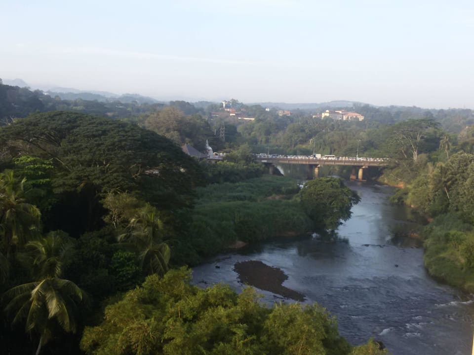 Ausblick von der Terrasse Oak Ray Regency