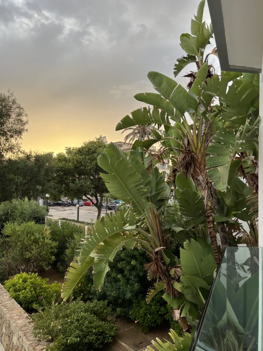 Gartenanlage Son Moll Sentits Hotel & Spa